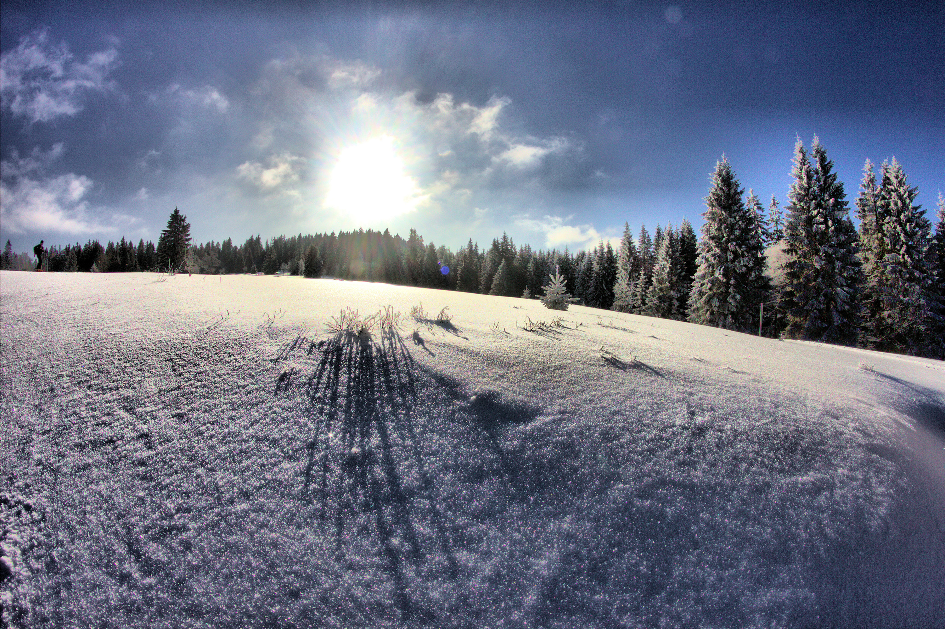 npv_bw_-_vm_002-22_schneeschuhtour_mit_steffen_krieger_ruckowitzschachten.jpg