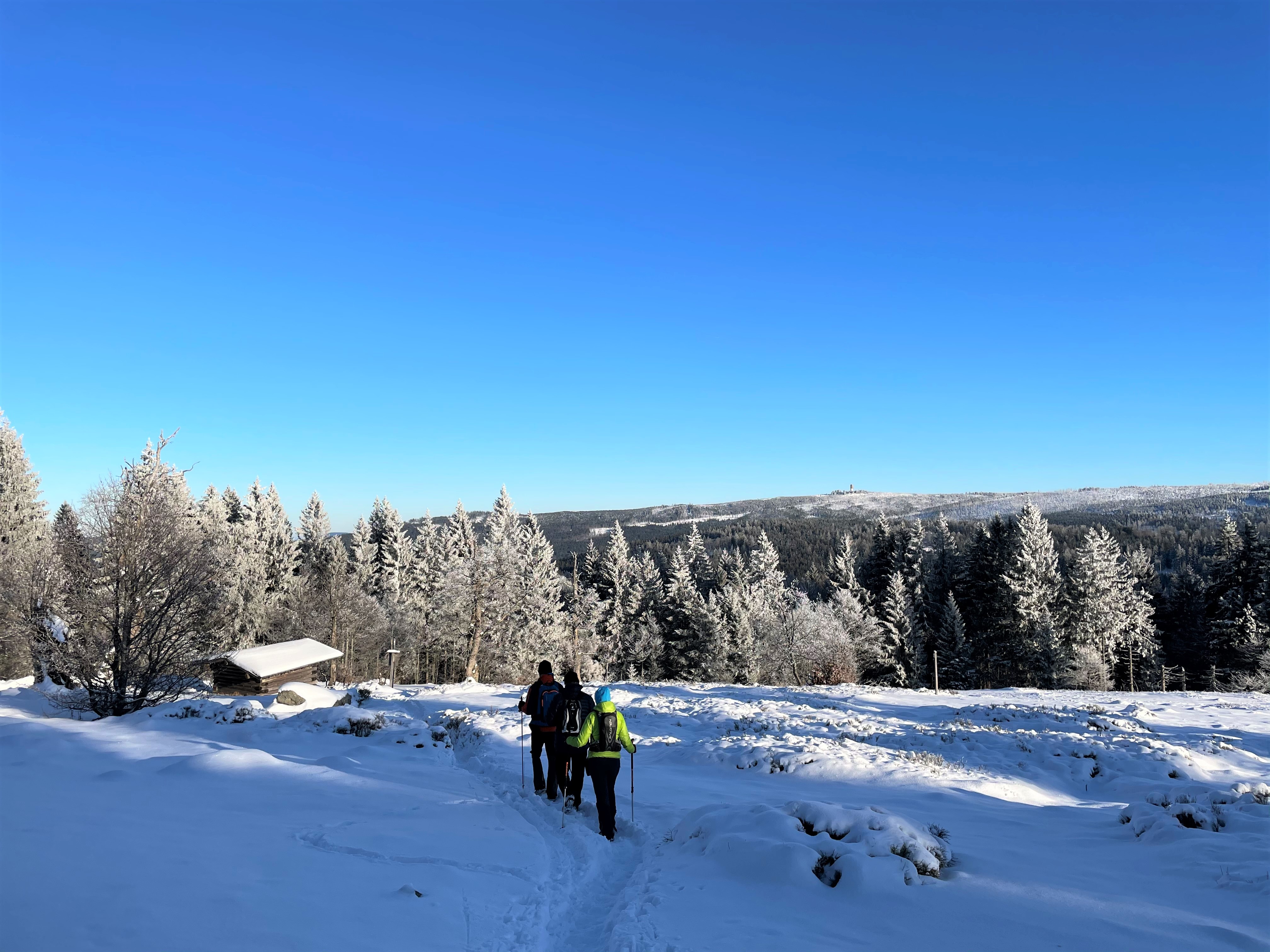 npv_bw_-_vm_005-22_schneeschuhtour_jaehrlingschachten.jpg