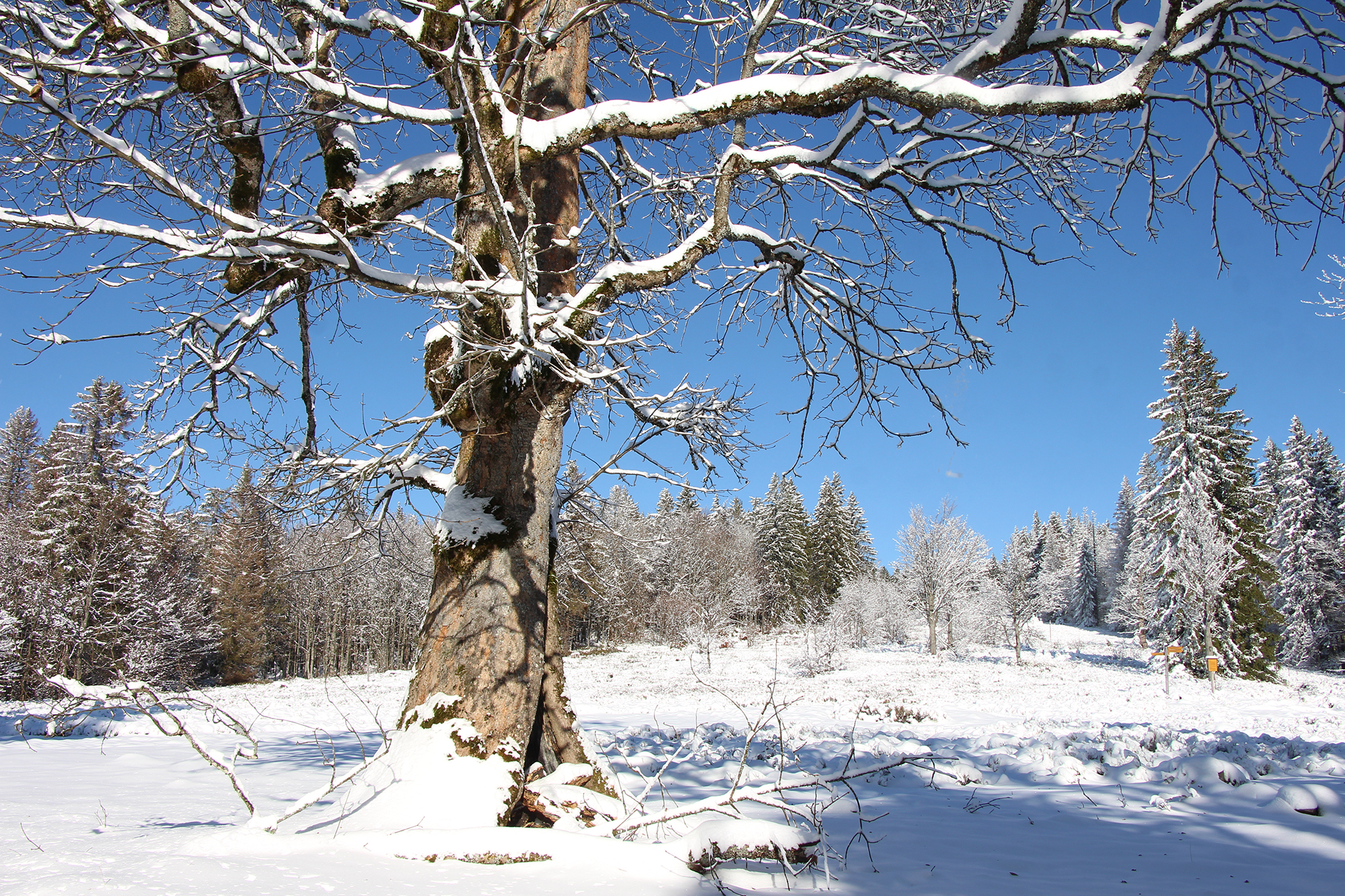 npv_bw_-_vm_005-23_wanderung_zum_lindberger_schachten.jpg