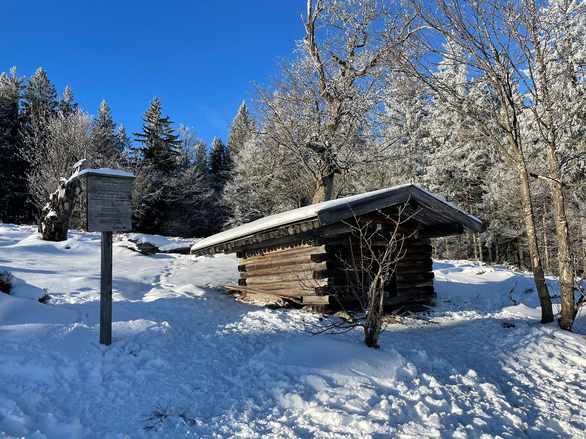 npv_bw_-_vm_007-22_mit_den_schneeschuhen_auf_den_jaehrlingsschachten.jpg