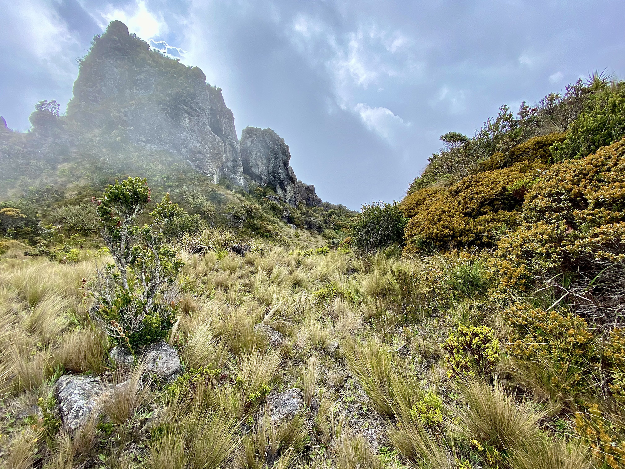 npv_bw_-_vm_014-22_effektiver_naturschutz_in_ecuador.jpg