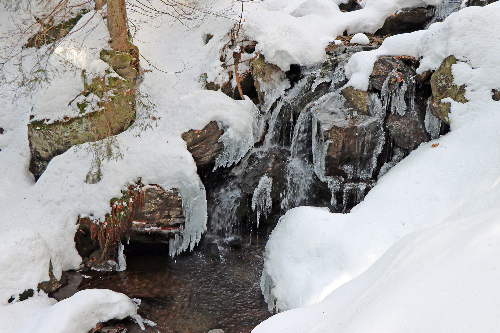 npv_bw_-_vm_016-22_schnee_ist_mehr_als_gefrorenes_wasser_beudert.jpg