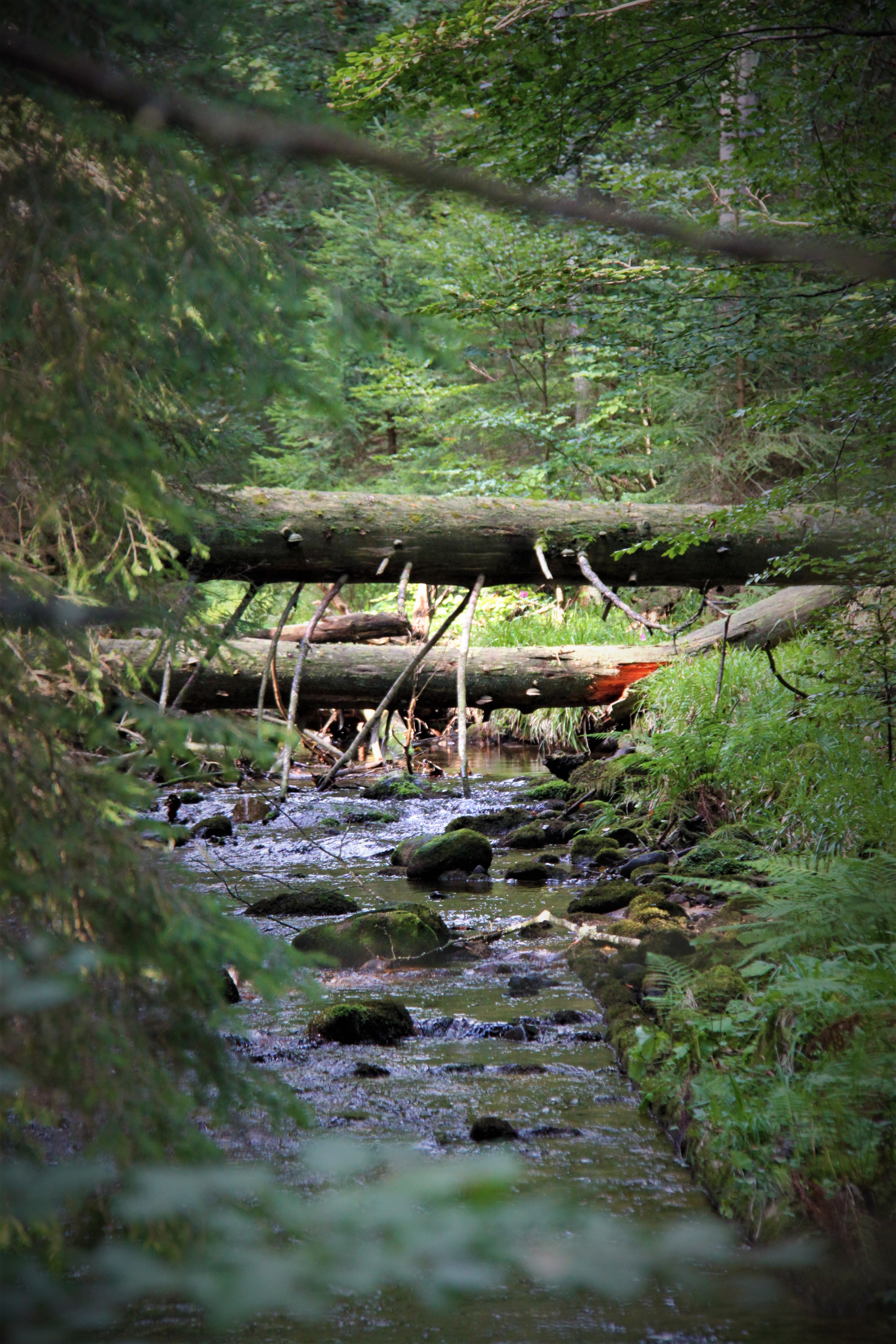 npv_bw_-_vm_049-21_wasserwege_-_lebenswege.jpg