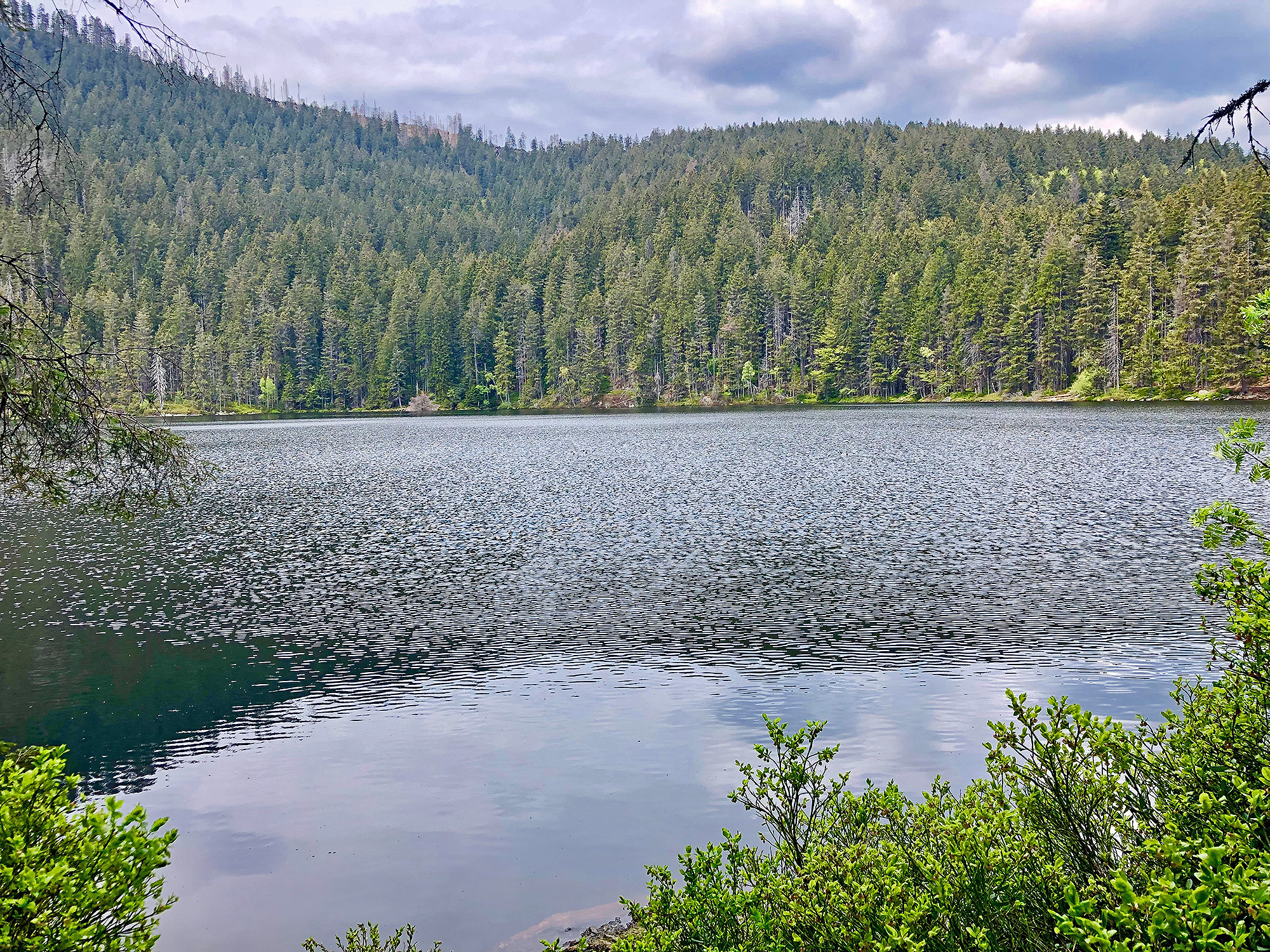 npv_bw_-_vm_063-22_ueber_die_wasserscheide_zum_teufelssee.jpg