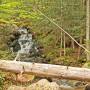 npv_bw_-_vm_065-25_trauerwanderungen_fuer_kinder_und_jugendliche.jpg