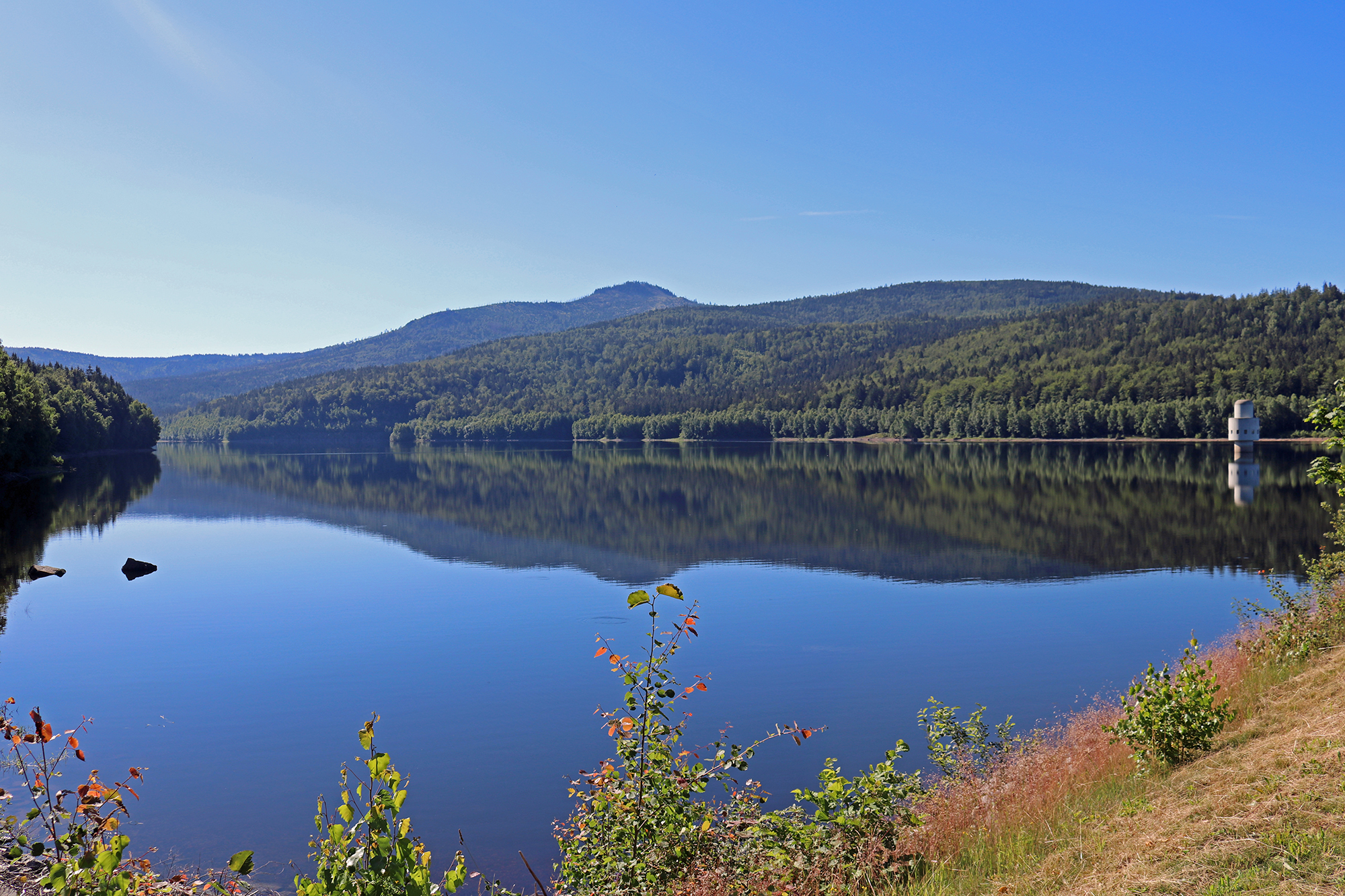 npv_bw_-_vm_077-21_zu_den_inseln_im_waldmeer.jpg