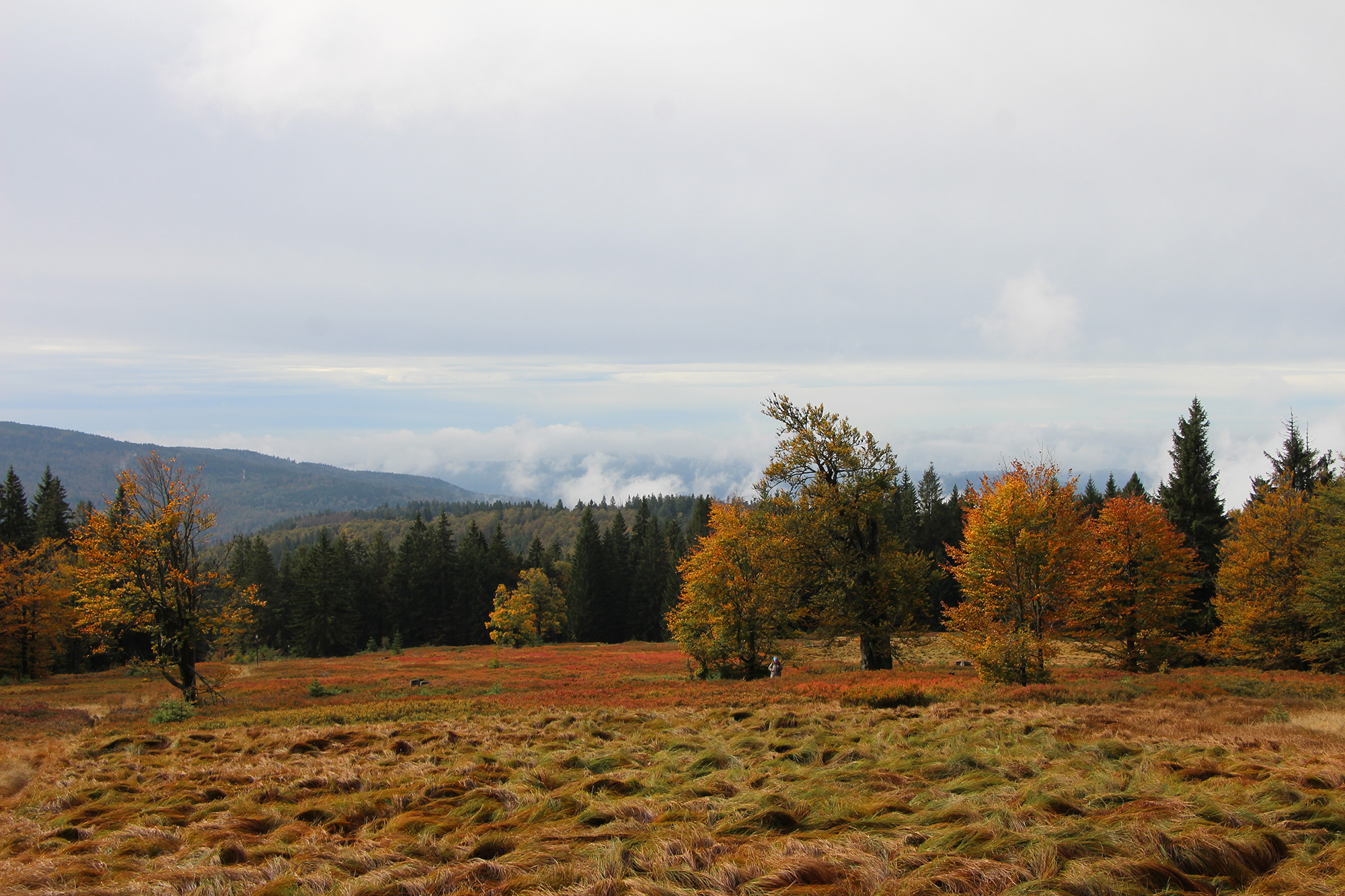 npv_bw_-_vm_109-20_zum_lindberger_schachten_wandern.jpg