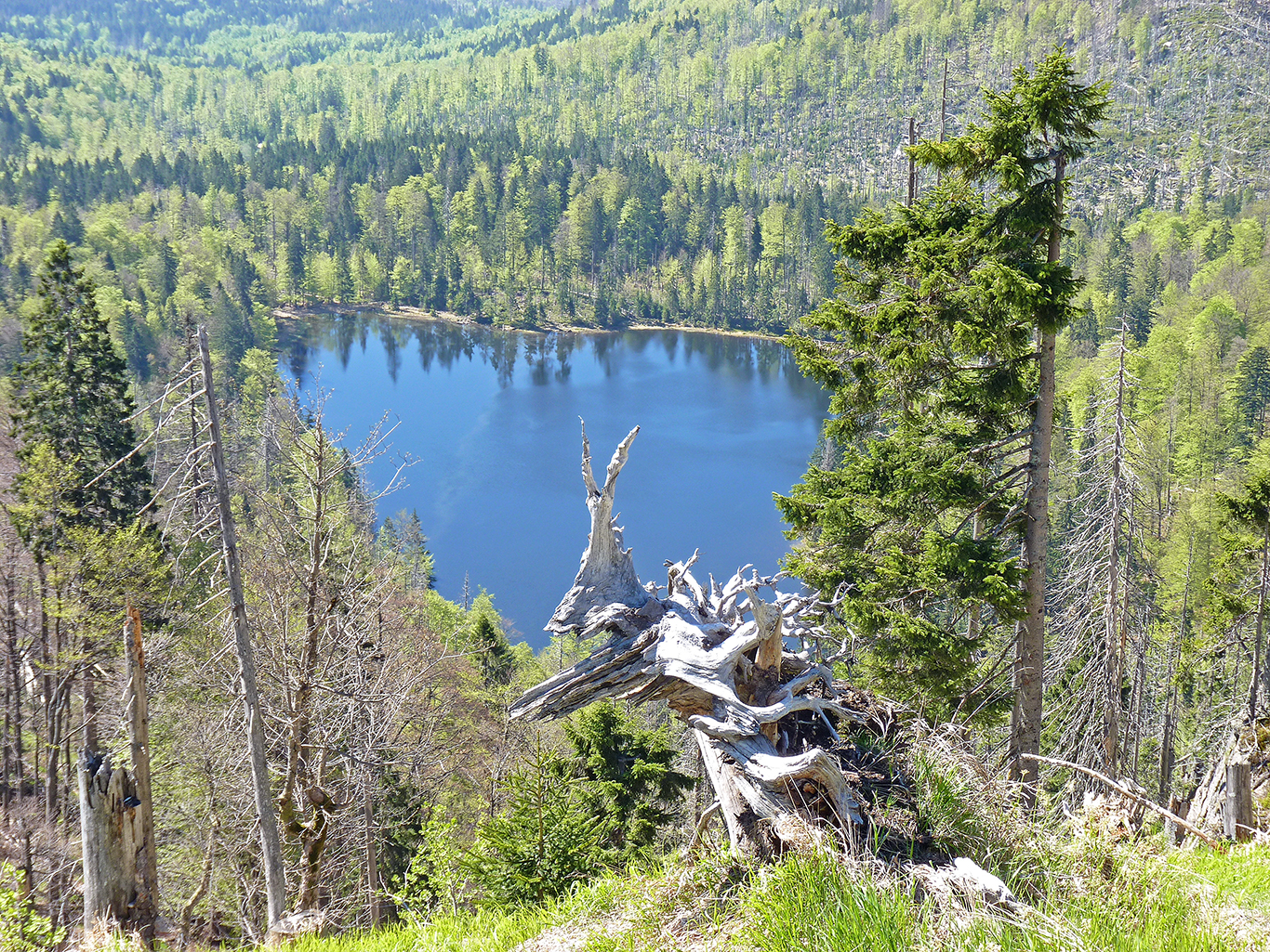 npv_bw_-_vm_24-20_durch_die_wildnis_zum_sagenumwobenen_rachelsee.jpg