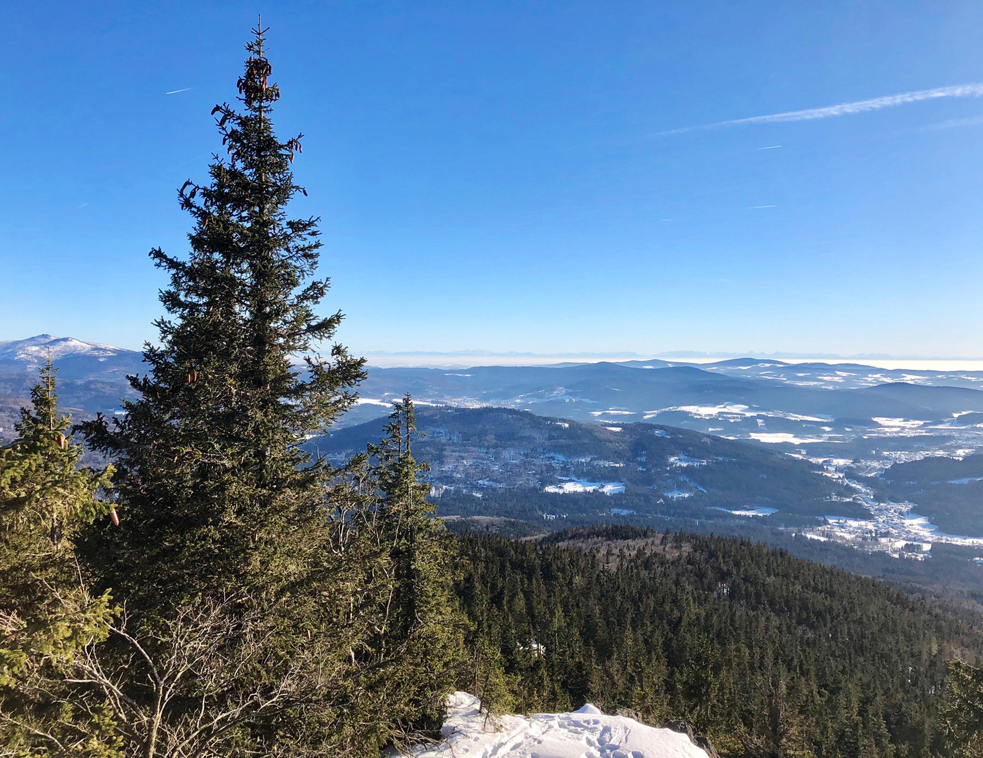 npv_bw_-_vm_30-19_falkenstein_zum_fruehlingsanfang.jpg