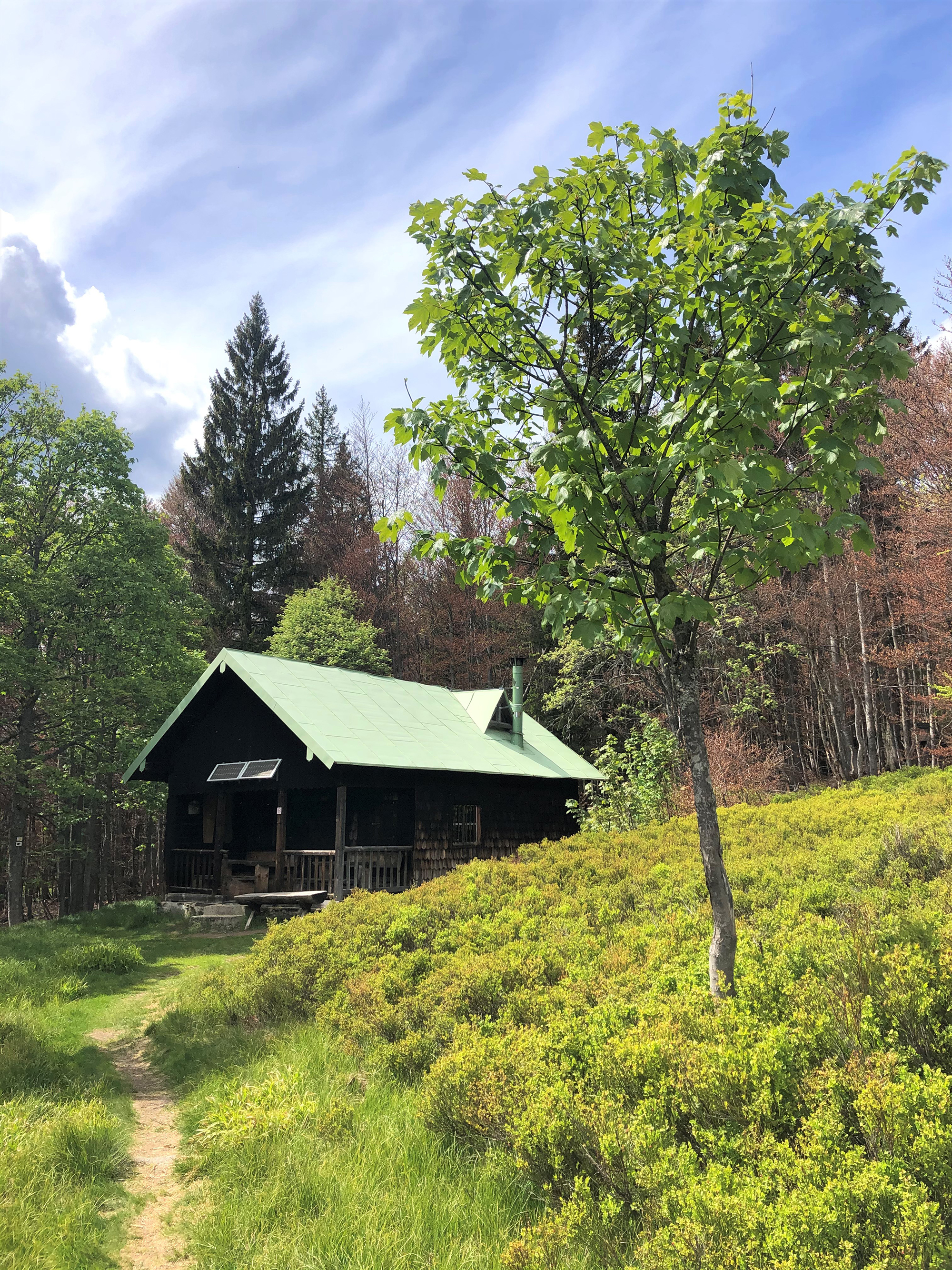 npv_bw_-_vm_35-20_einen_der_groessten_schachten_im_nationalpark_entdecken.jpg