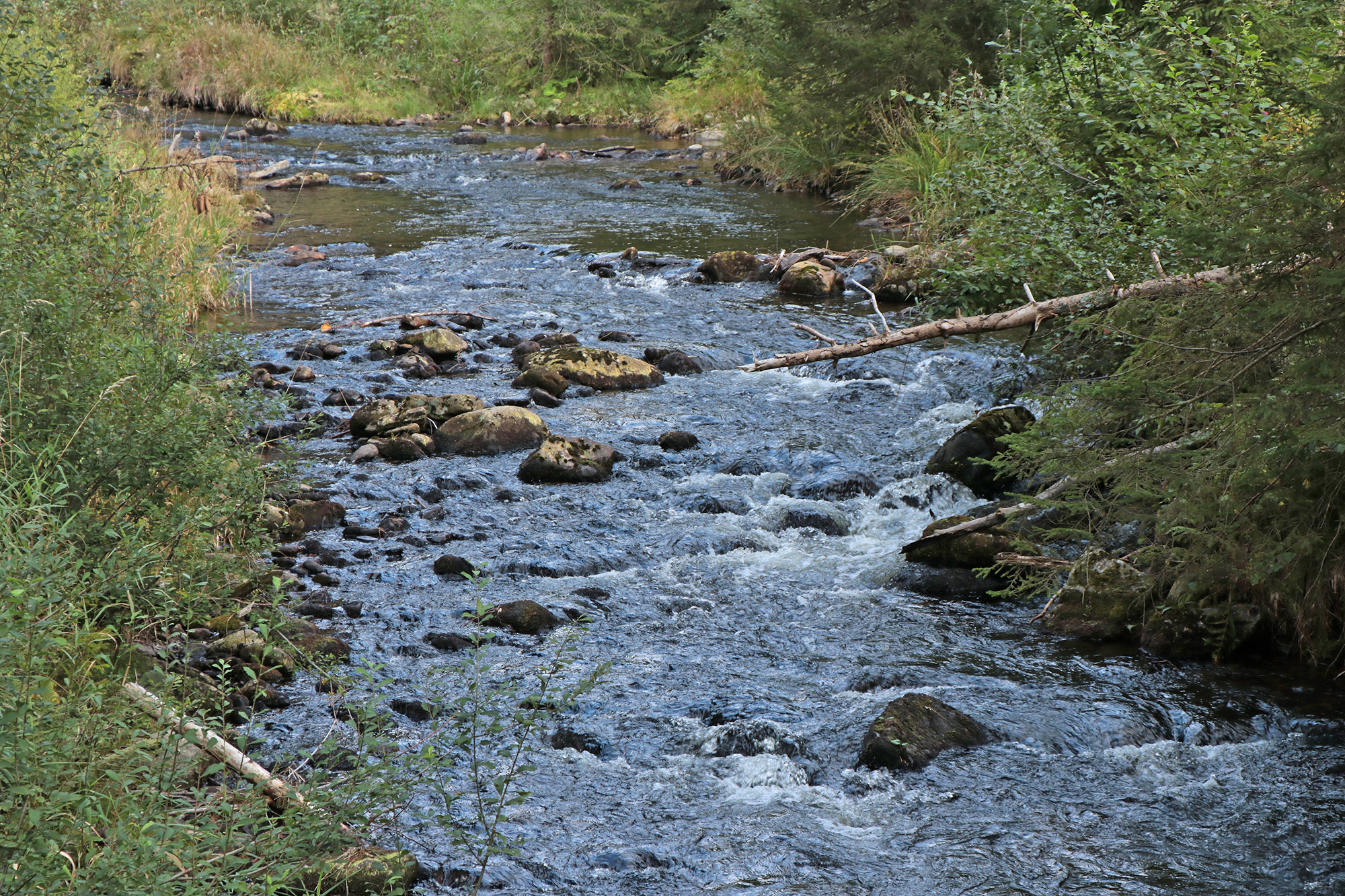 npv_bw_-_vm_69-20_meditative_wanderung_auf_dem_seelensteig_sowie_dem_flusswanderweg.jpg