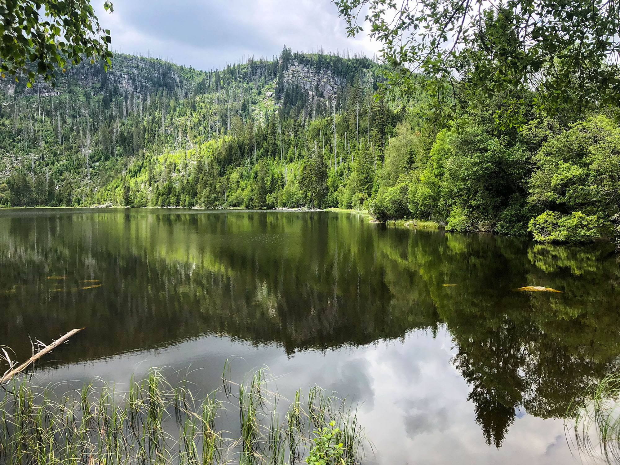 npv_bw_-_vm_71-20_radtour_zum_ploeckensteinersee_und_zum_moldaustausee.jpg