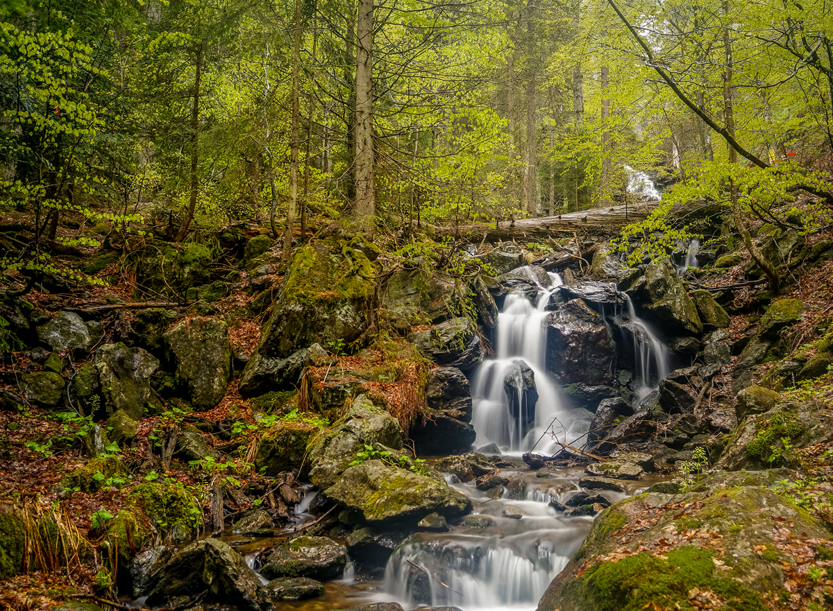 npv_bw_-_vm_95-20_durch_die_urwaldartige_schlucht_zum_schachten.jpg