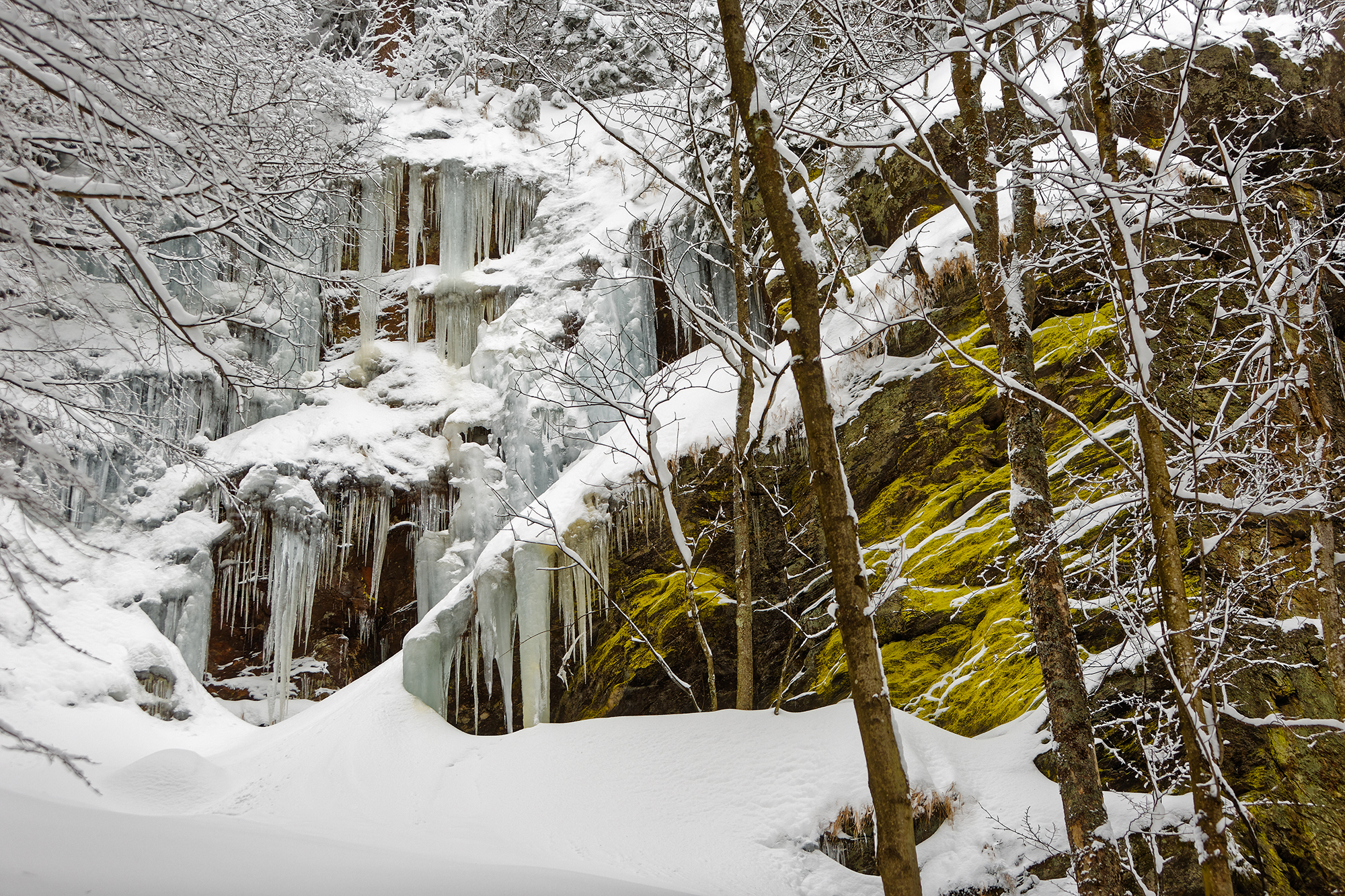 npv_bw_auf_schneeschuhen_durch_die_wilde_hoellbachschlucht.jpg