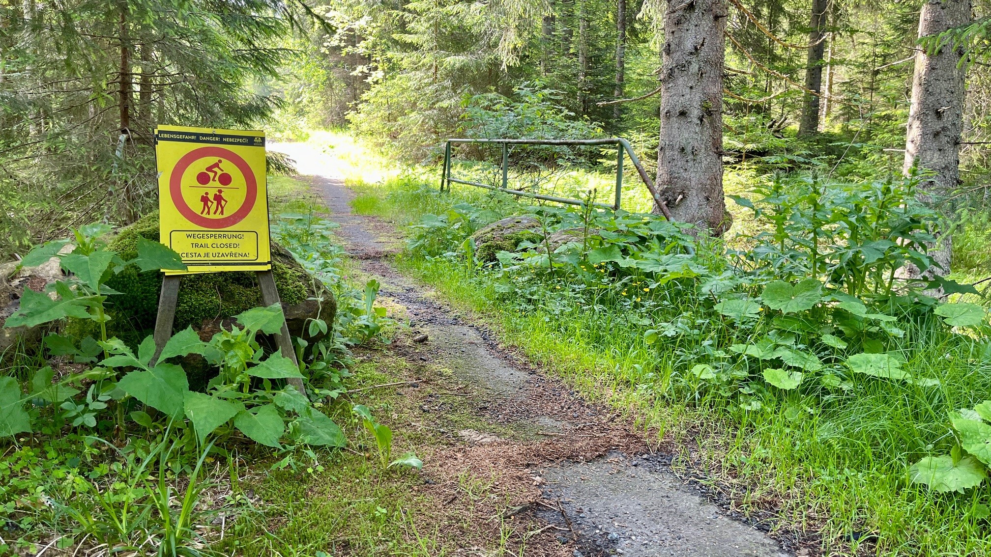 npv_bw_kaputte_bruecke_sorgt_fuer_gesperrten_radweg.jpg