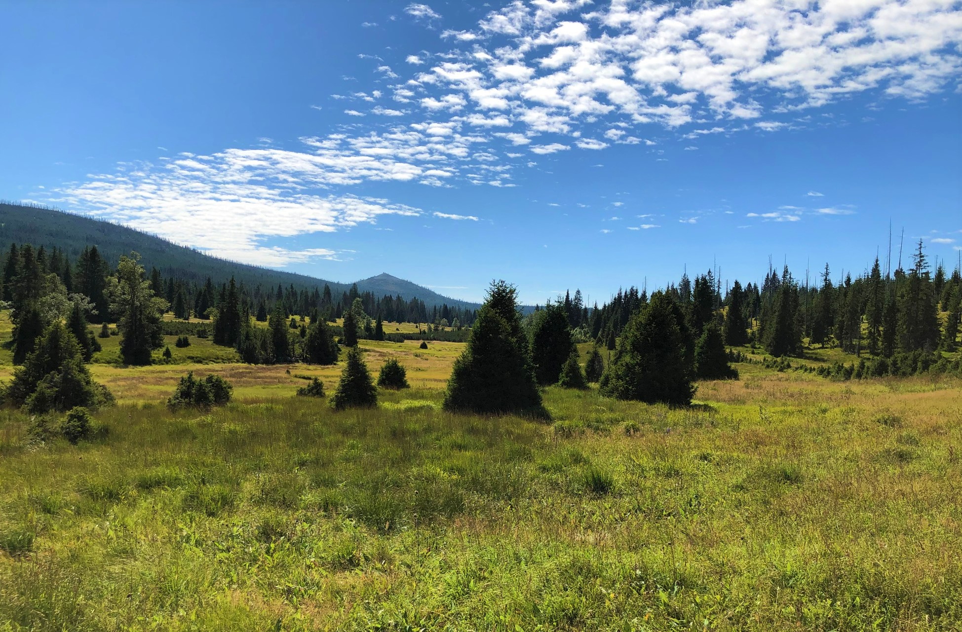 npv_bw_mit_dem_rad_zum_postberg_und_nach_modrava.jpg