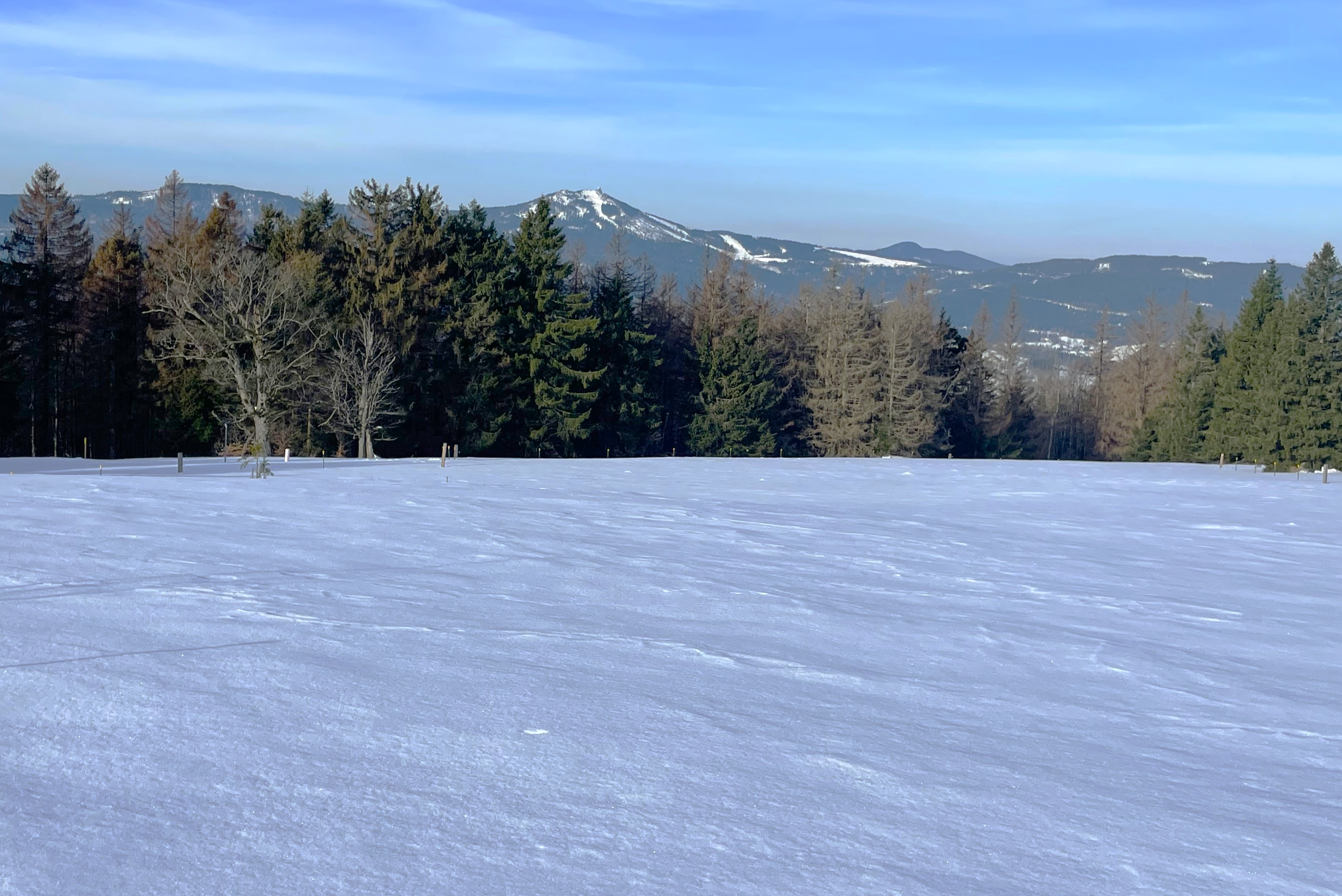 npv_bw_schneeschuhtour_ruckowitz.jpg