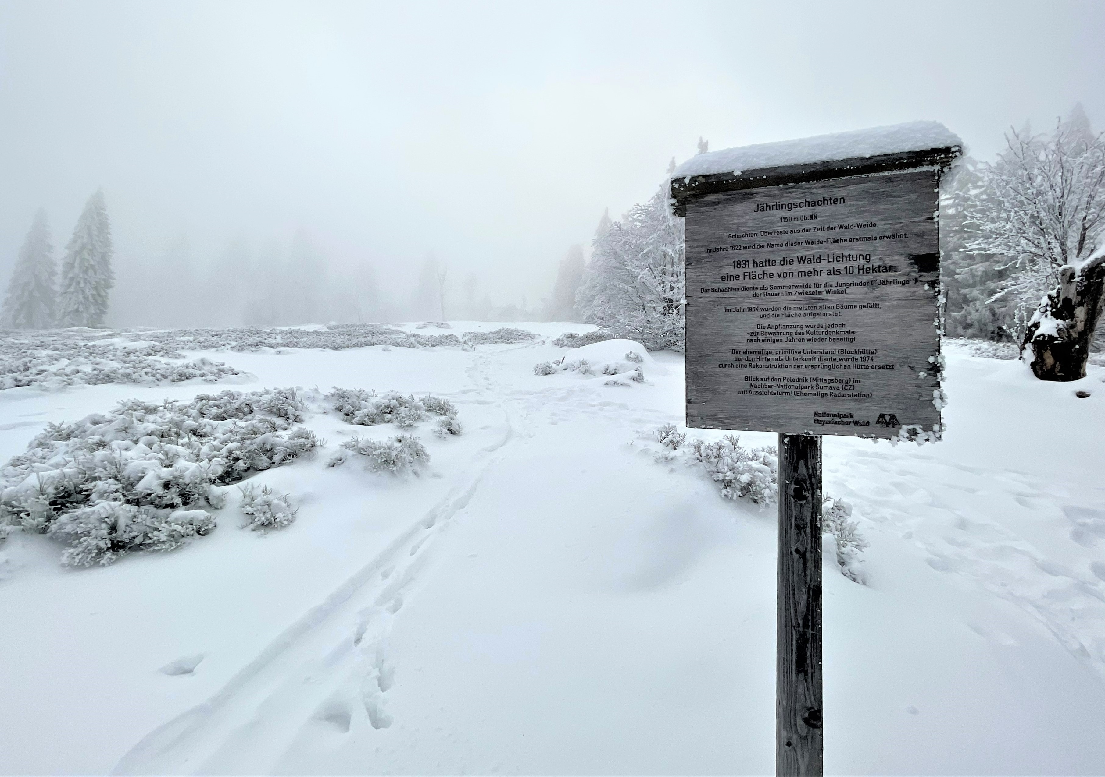 npv_bw_schneeschuhtour_zum_jaehrlingsschachten.jpg