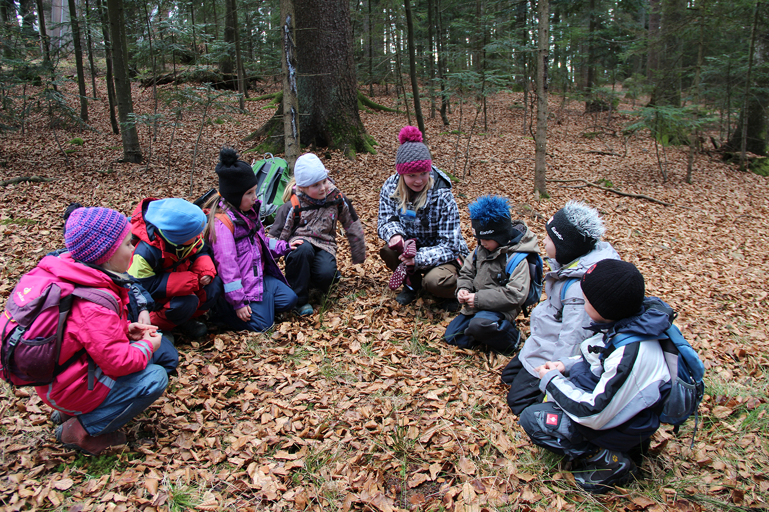 npv_bw_spannende_abenteuer_im_wilden_wald.jpg