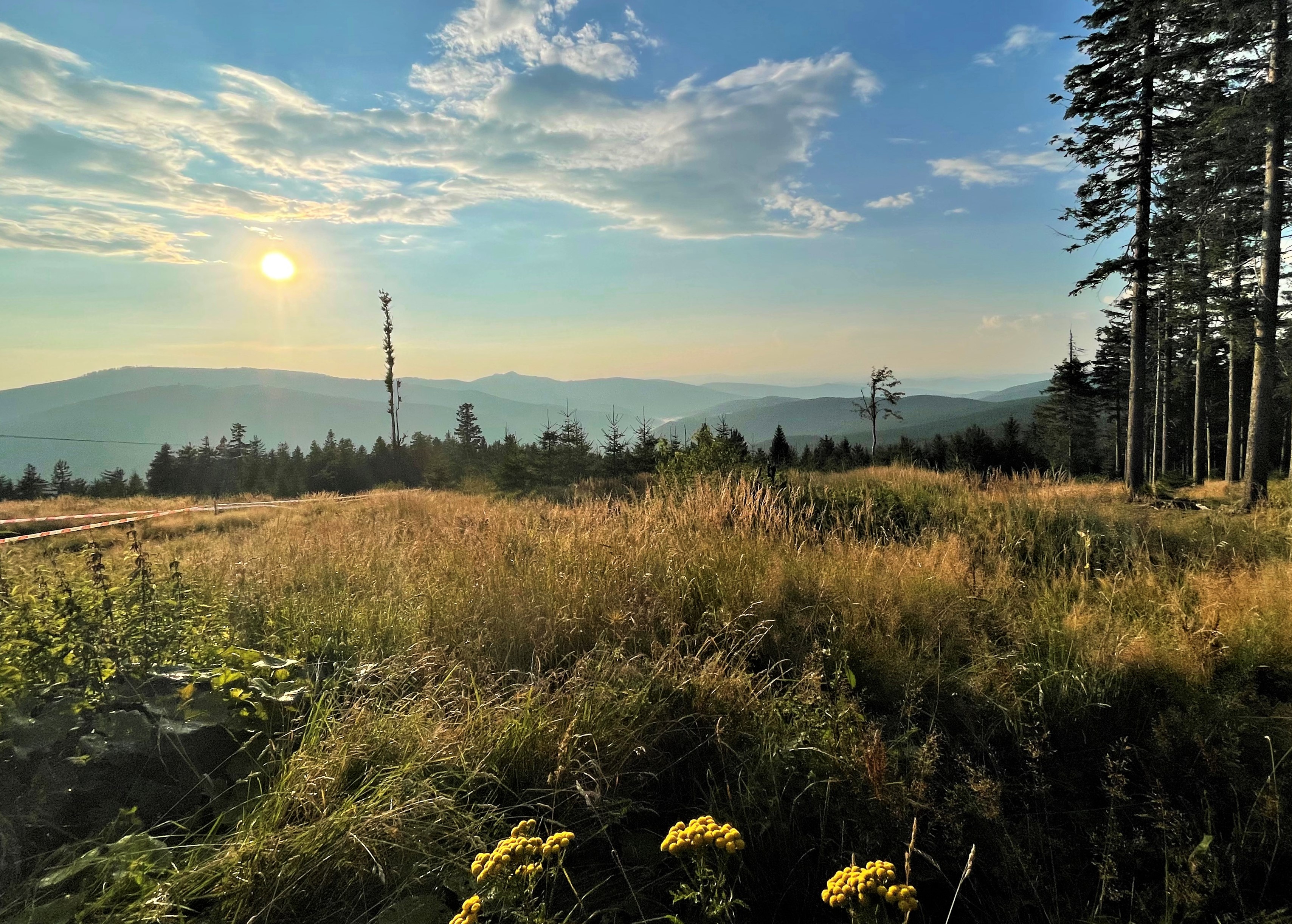 npv_bw_tageswanderung_in_den_nachbarnationalpark.jpg