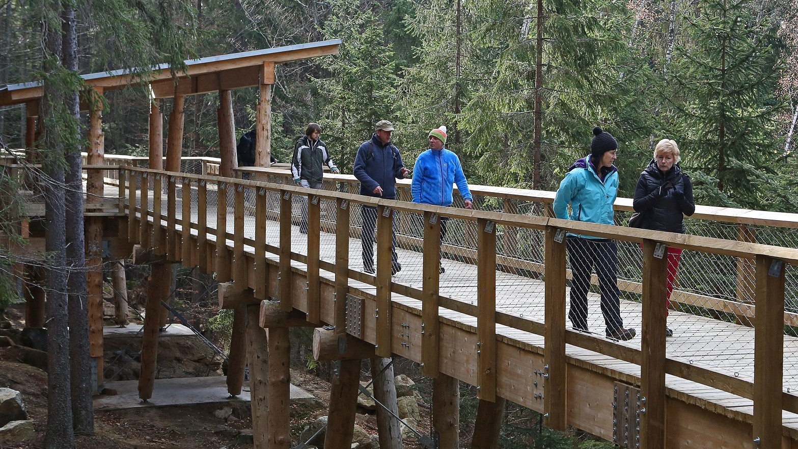 npv_bw_woelfe_im_boehmerwald.jpg