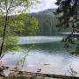 npv_bw_zum_schwarzen_see_und_ueber_den_spitzbergsattel.jpg