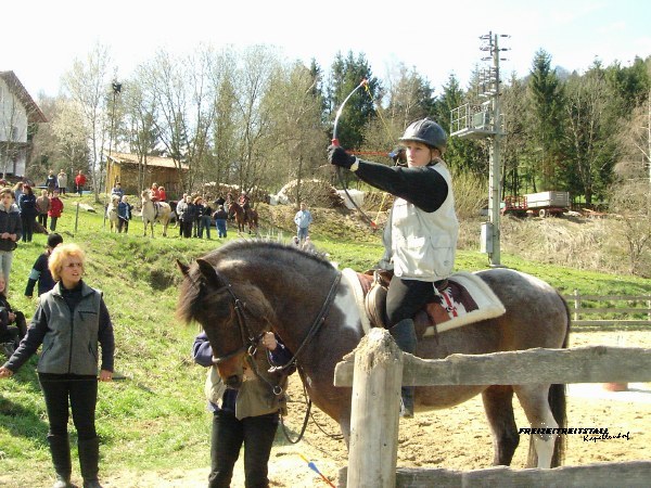  Bogenschießen vom Pferd