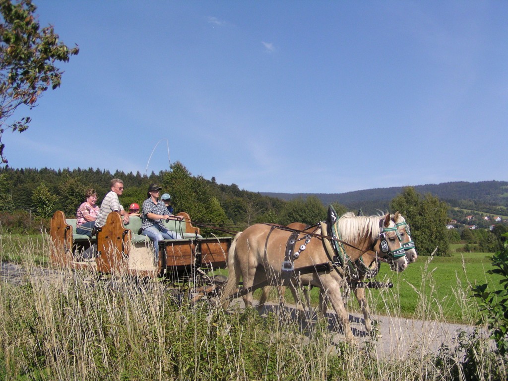 Kutschenfahrt im Bayerischen Wald