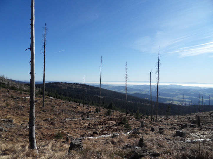 Blick auf den Plöckenstein, im Hintergrund die Alpen