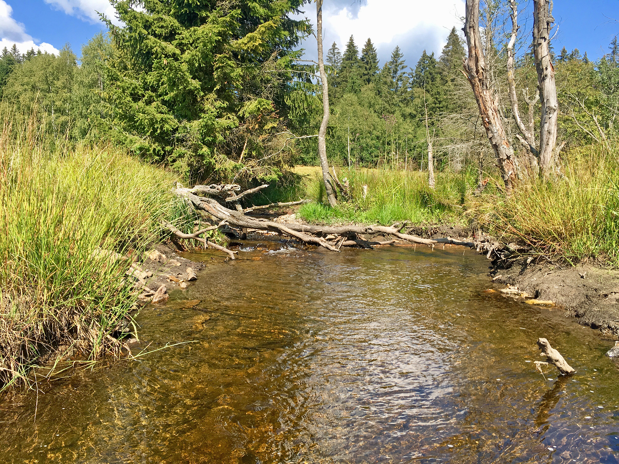 radtour_in_den_nationalpark_sumava.jpg