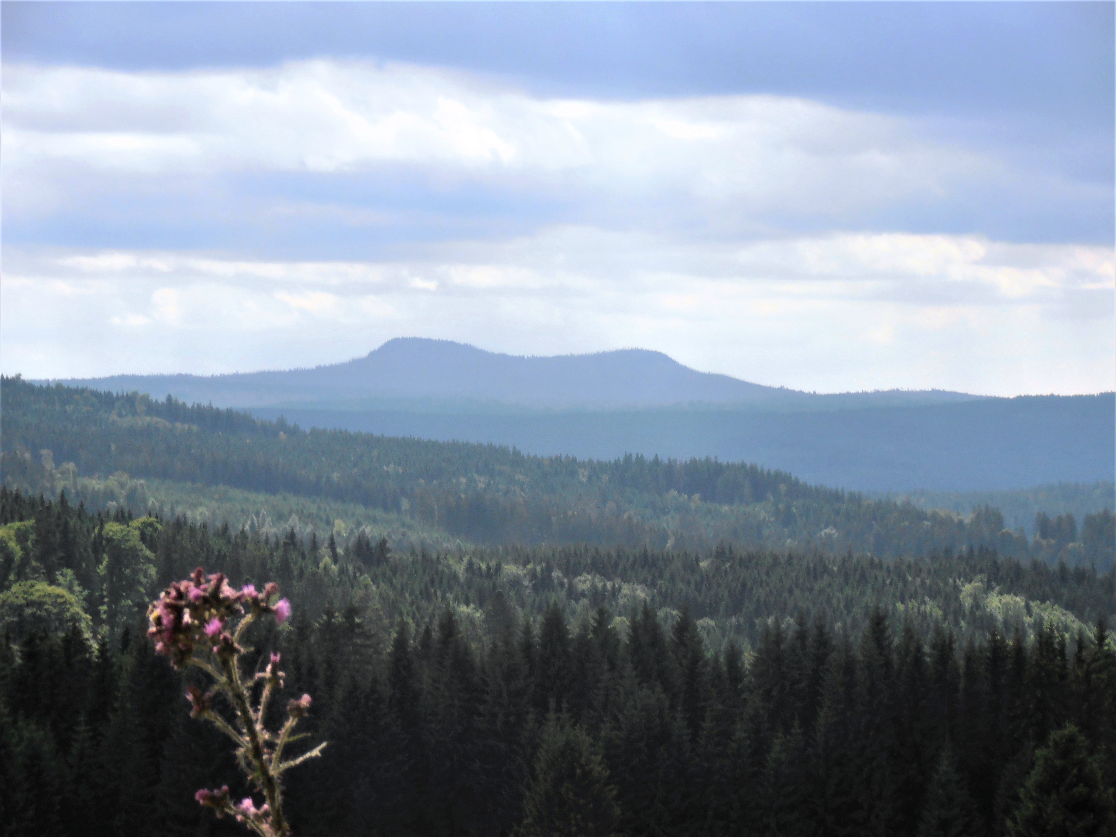 rund_um_das_haidler_hochmoor_.jpg