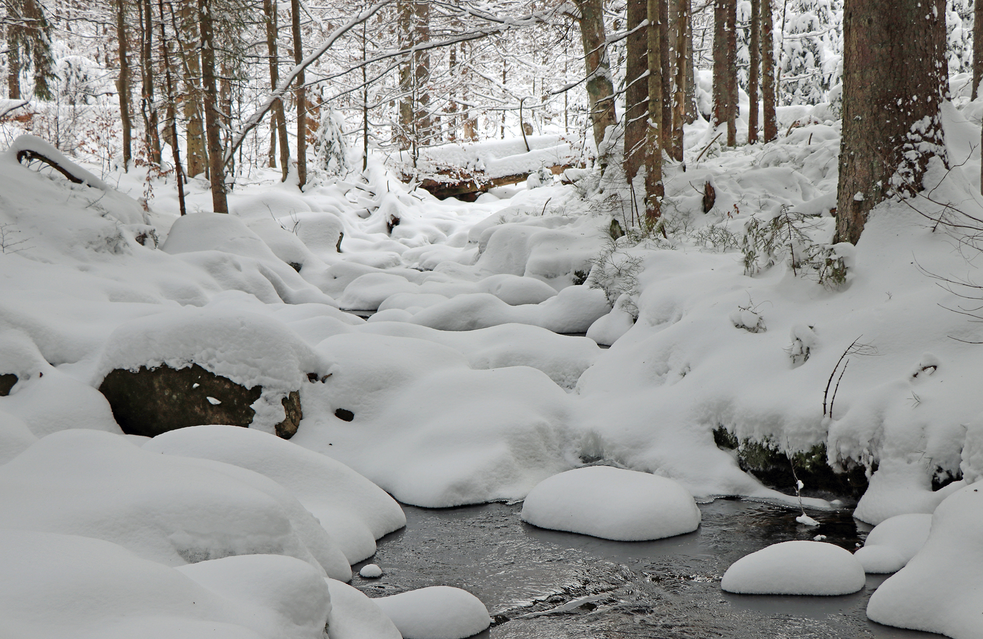 schnee_ist_mehr_als_gefrorenes_wasser.jpg