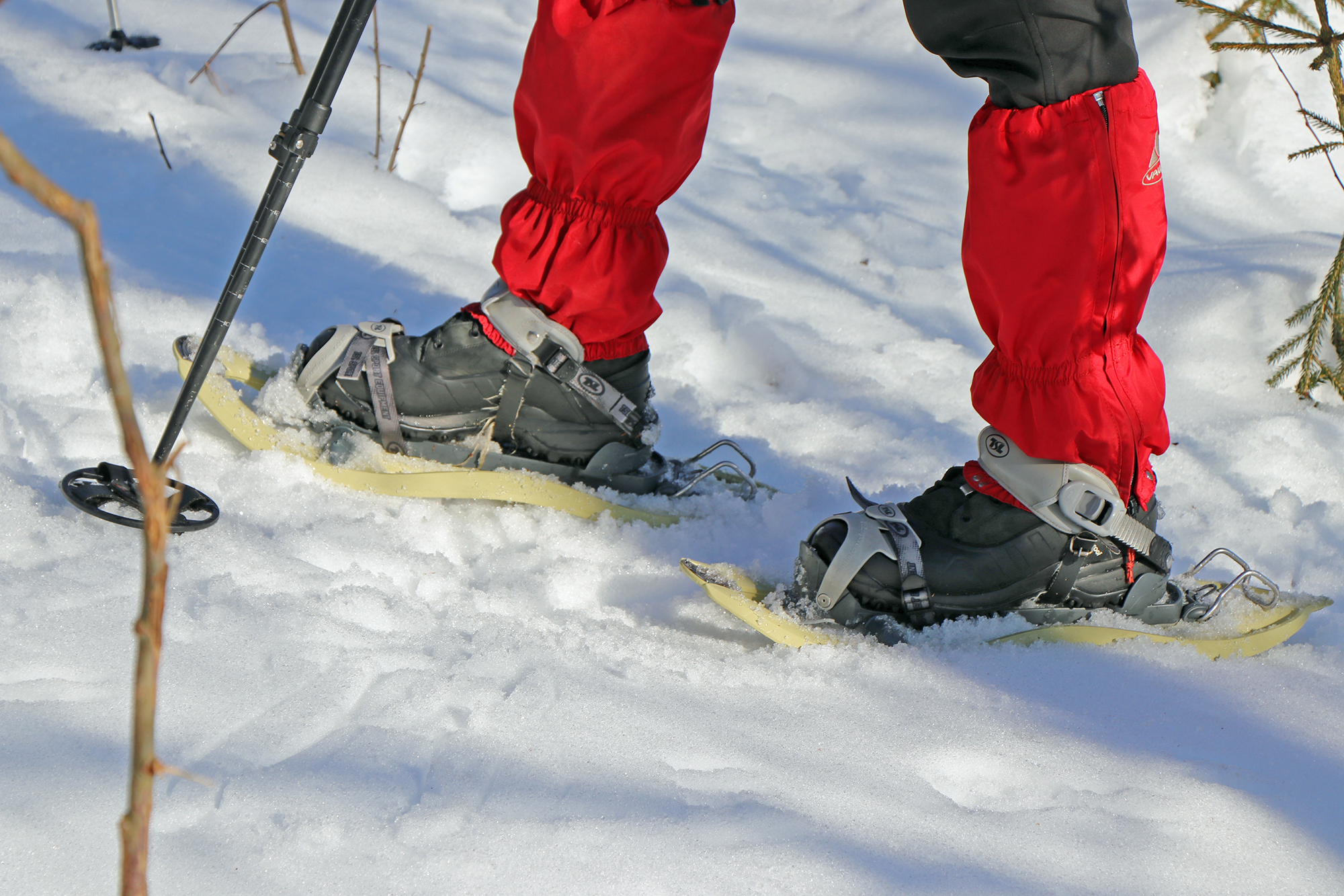 schneeschuhtour_jaehrlingschachten.jpg