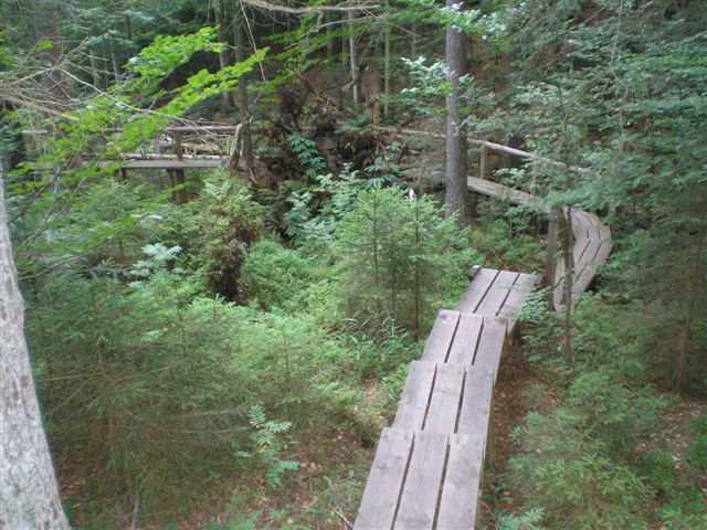 der Seelensteig