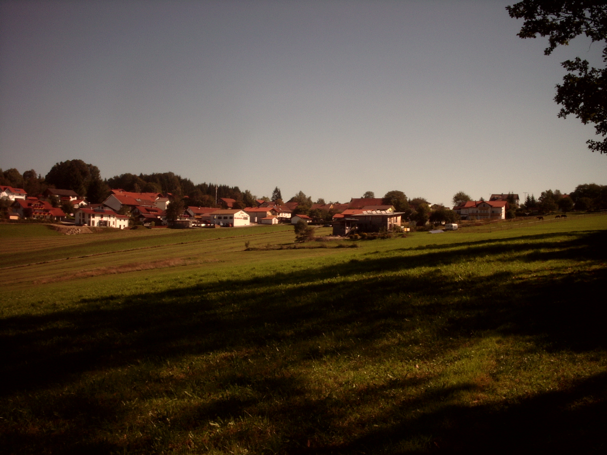 Aussicht bei Elmberg