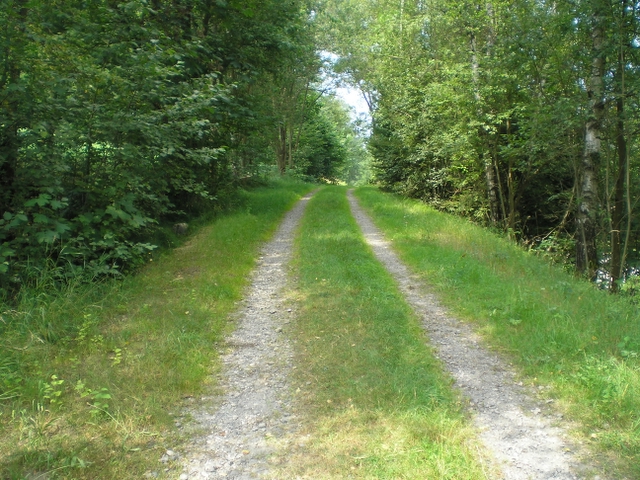 Entlang des Wanderweges Nr. 2 / Stadt Grafenau (Bayerischer Wald)