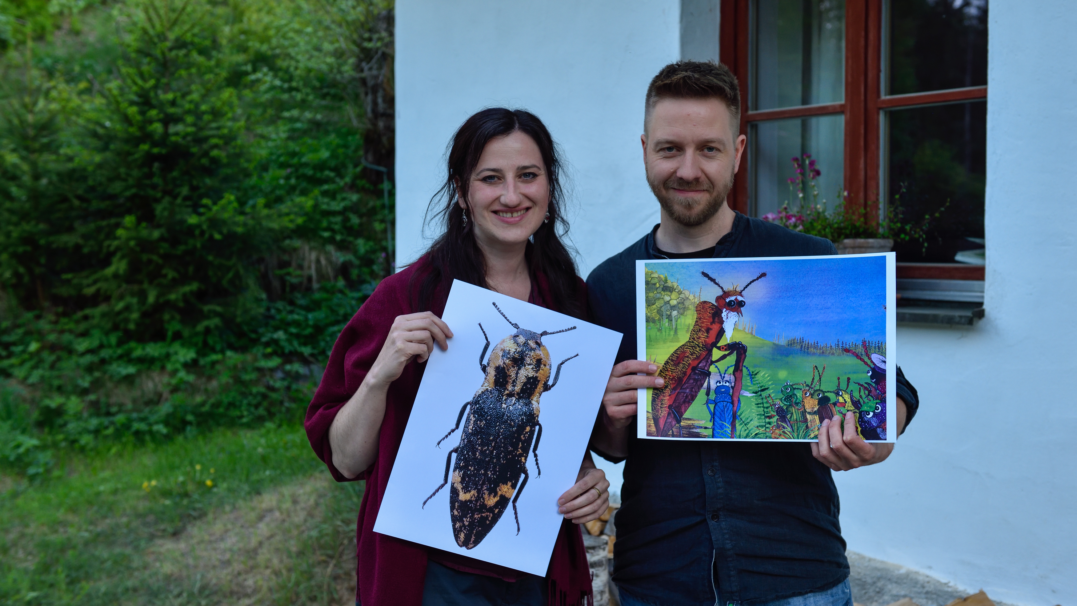 Einen außergewöhnlichen Fund machten Nationalparkmitarbeiter Thomas Michler und seine Lebensgefährtin Julia Herzig: Sie hatten den Bindigen Schnellkäfer, der 100 Jahre lang so gut wie nicht auffindbar war, in ihrer Badewanne. Links auf dem Bild ist das Original zu sehen, rechts auf dem Bild der gemalte Käfer aus dem Kinderbuch (Foto: Thomas Michler / Nationalparkverwaltung Bayerischer Wald)
