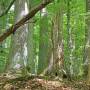 vier_tage_nationalpark_hautnah.jpg