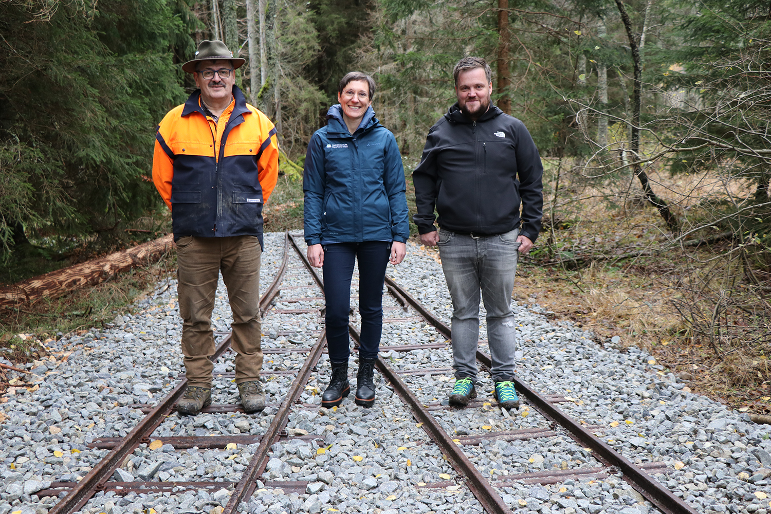 waldbahngleis_erstrahlt_in_neuem_glanz.jpg