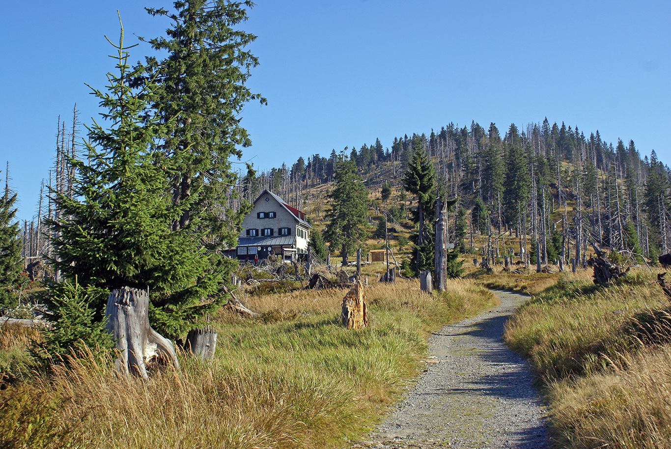 waldschmidthaus_am_rachel.jpg