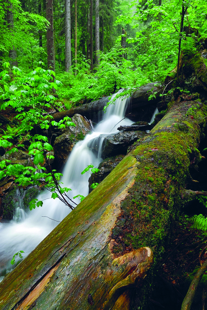 wasserfaelle_im_urwald_erkunden.jpg