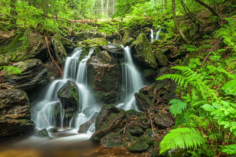 wasserfall_im_urwald_erkunden.jpg