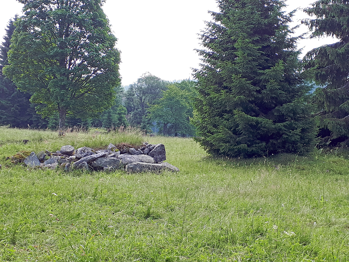 wege_durch_natur_und_zeit.jpg