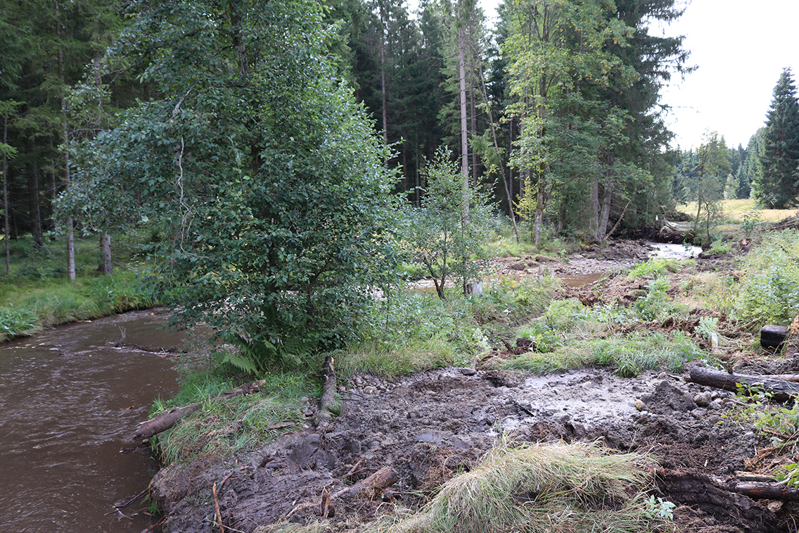 wilde_reschbachtal.jpg