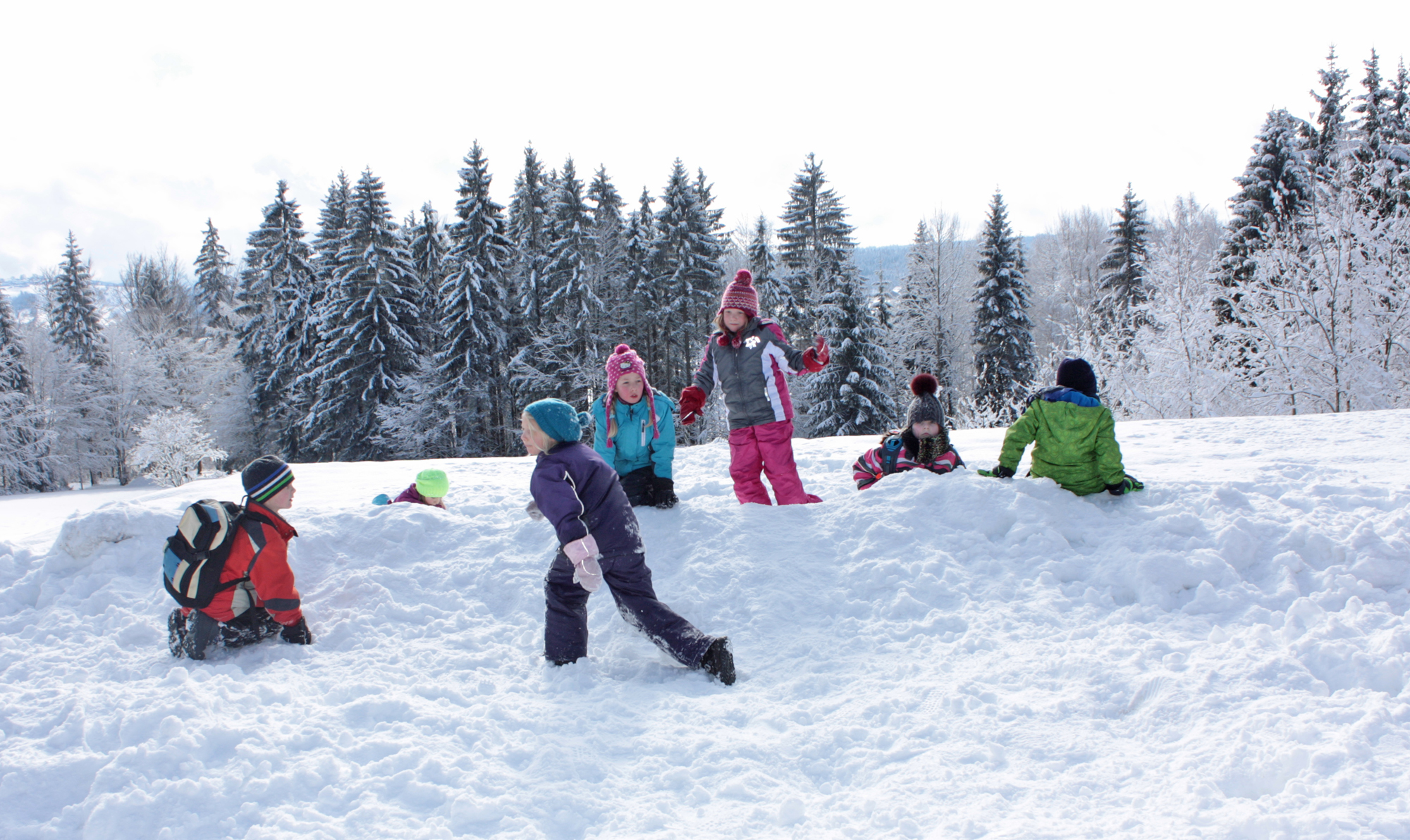 wintererlebnis_im_nationalpark.jpg