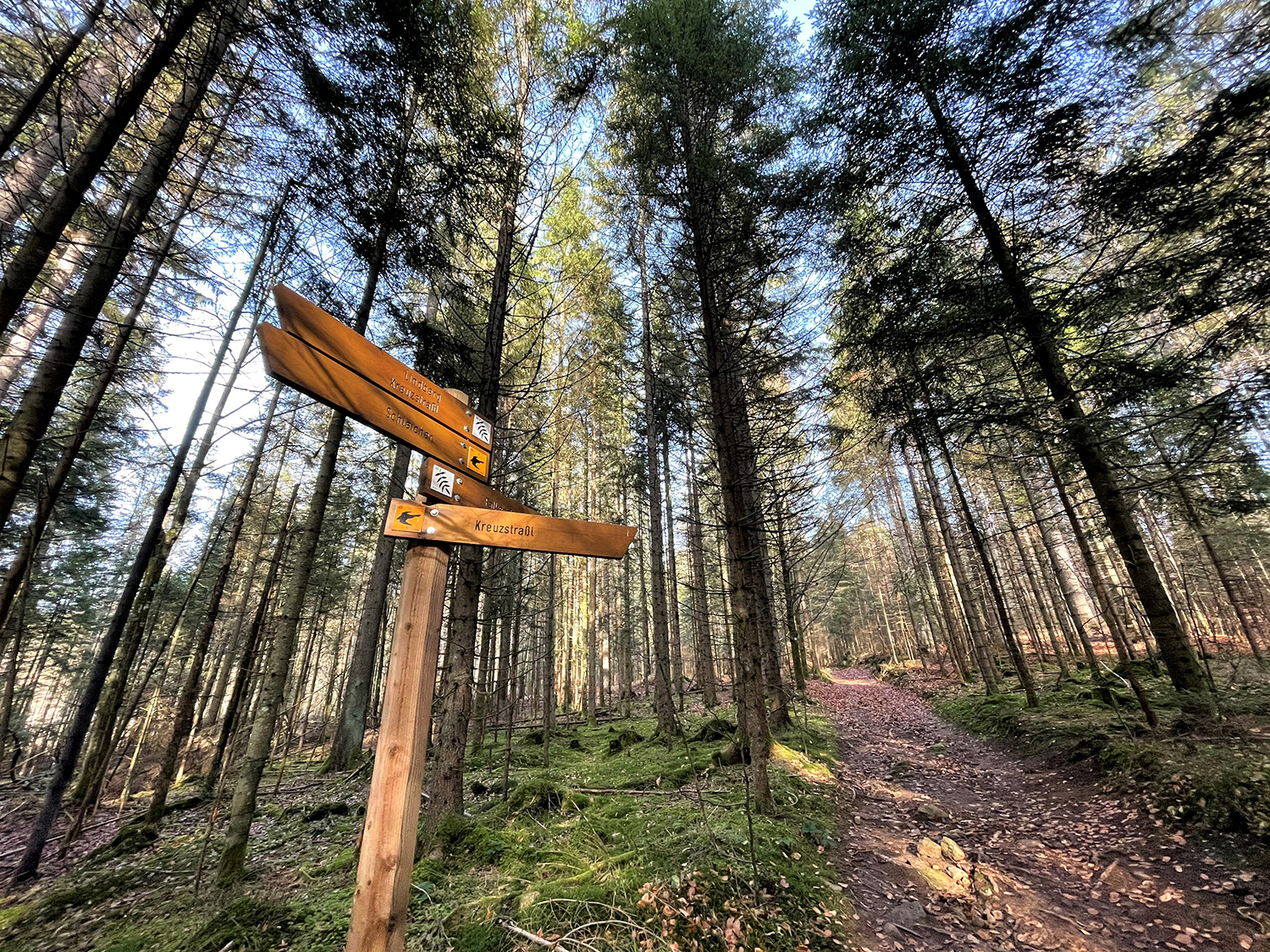 Der Adamweg mit der Markierung „Eibe“ von Zwieslerwaldhaus hinauf zum Großen Falkenstein ist derzeit komplett gesperrt. (Foto: Sandra Schrönghammer/Nationalpark Bayerischer Wald)