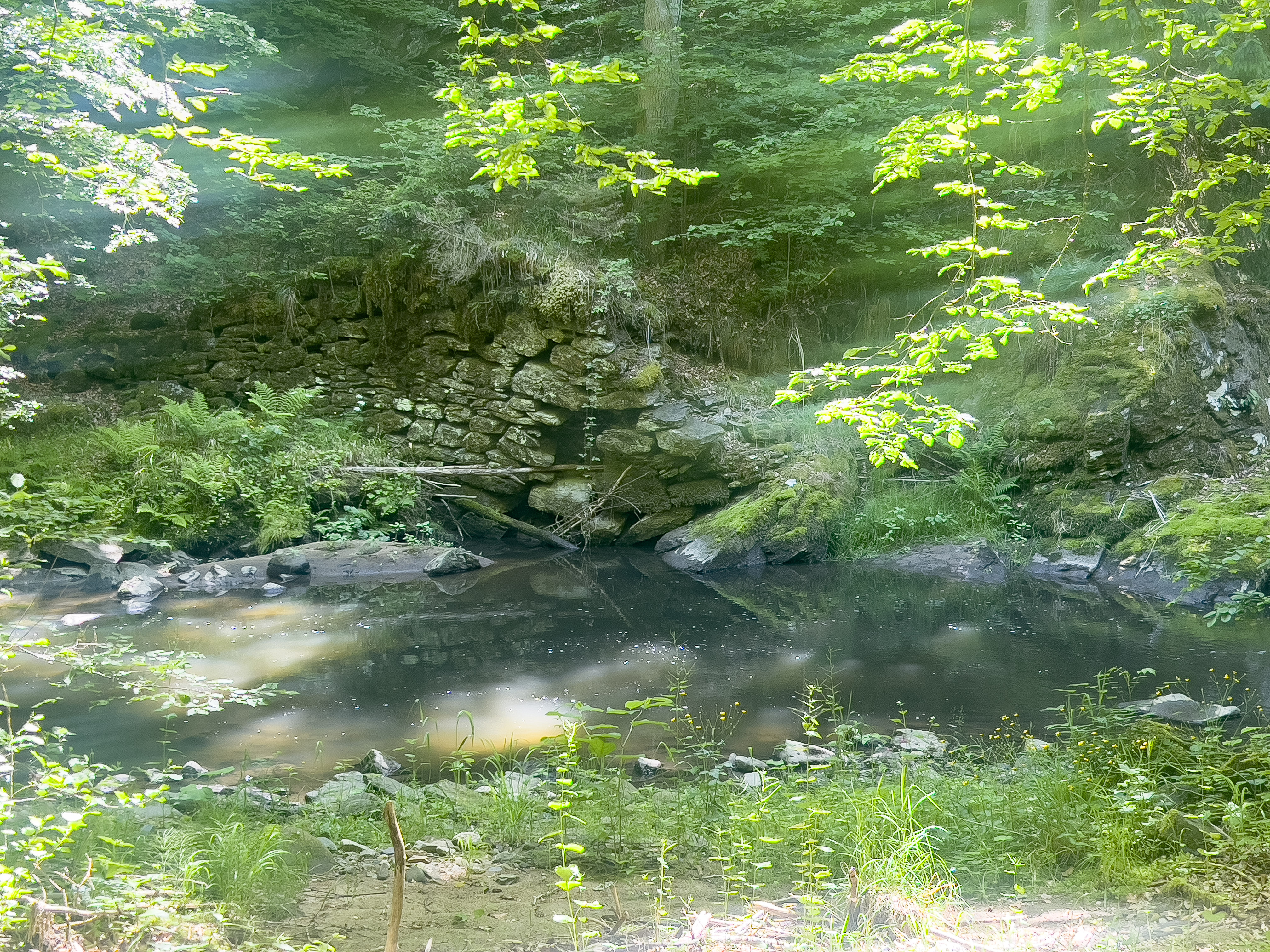 die Erlau 