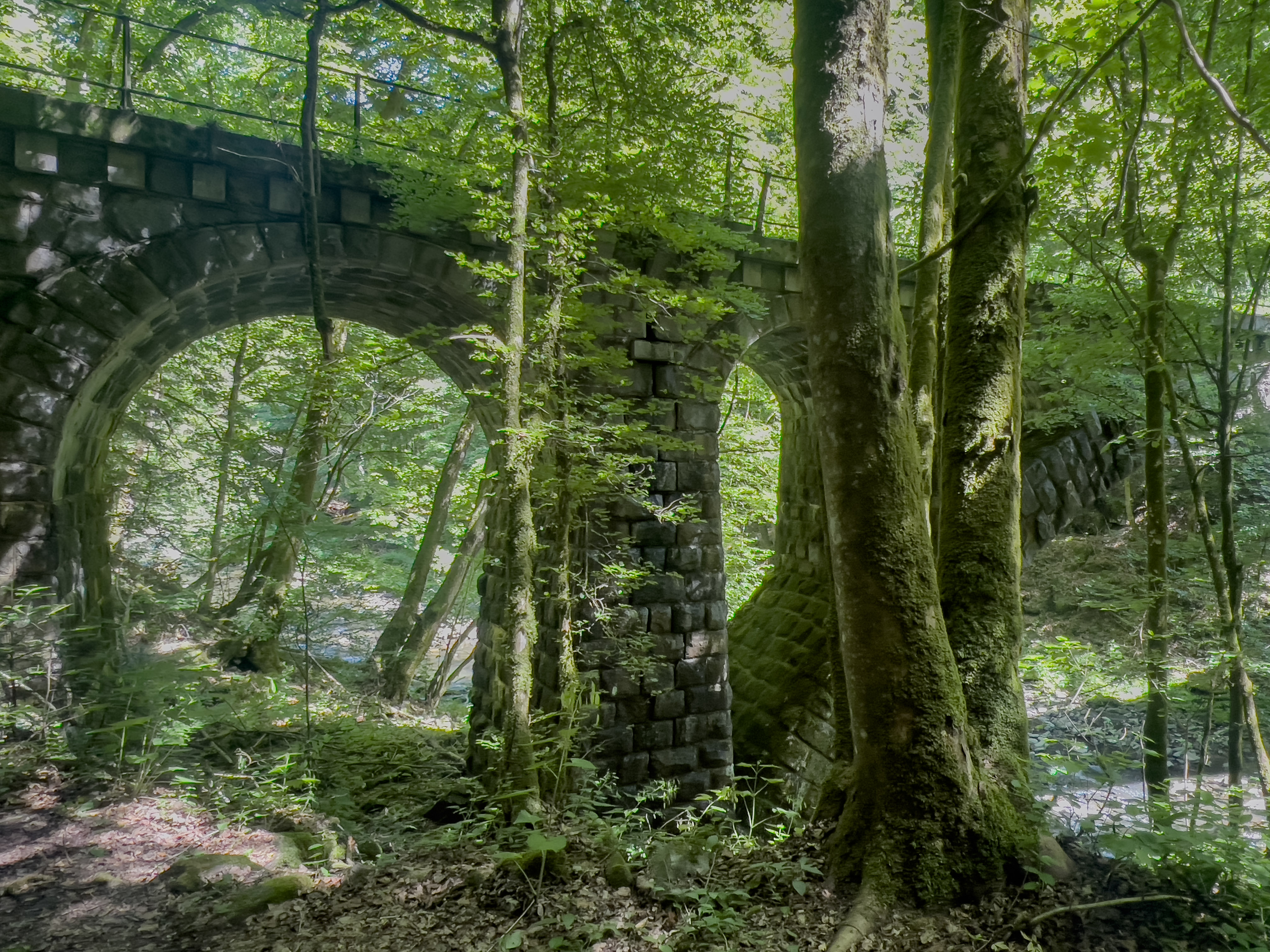 Brücke