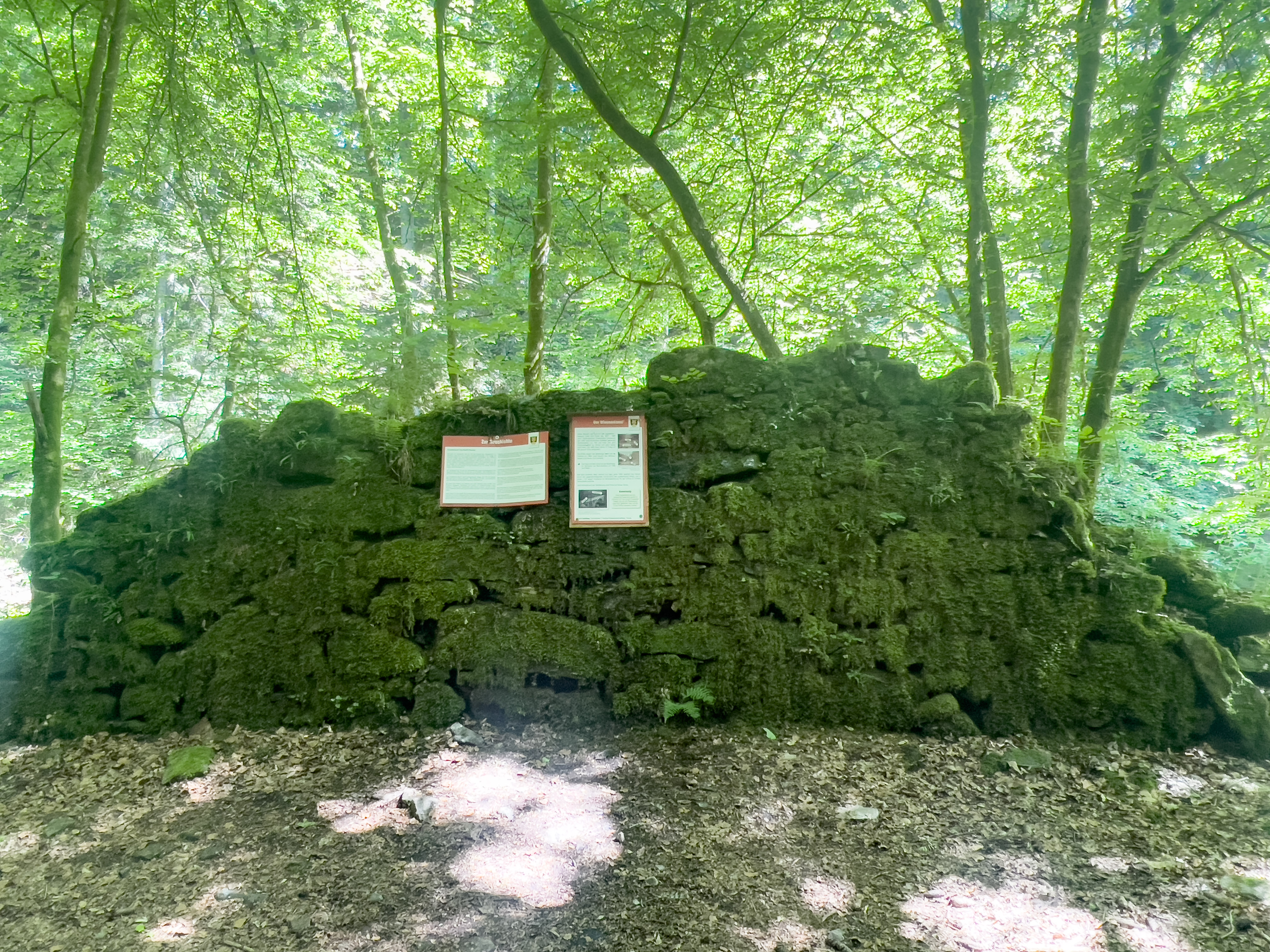 am Wegesrand bei Schmölz