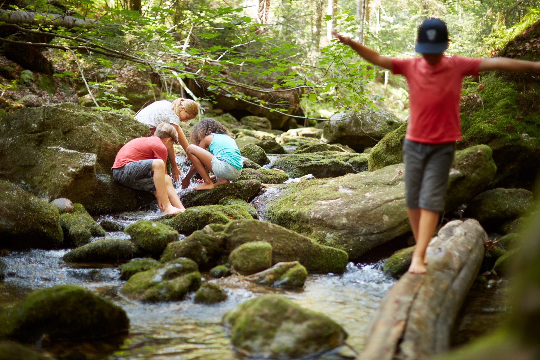 In den wilden Nationalparkwäldern warten auf die Ferienkinder einige coole Abenteuer. (Foto: www.bayern.by - Jan Grüne/Nationalpark Bayerischer Wald)